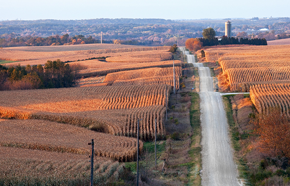 Rural Iowa road running between farm fields.
